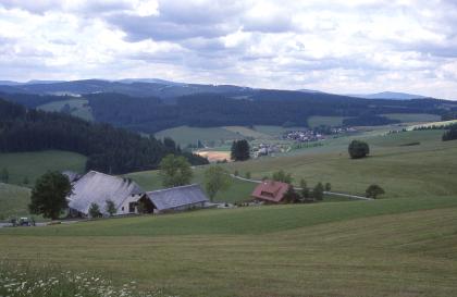 Blick nach Südwesten über das Ordnachtal zum Feldberg Weiter Blick über ein zwischen bewaldeten Bergen im Hintergrund und aufsteigenden Bergwiesen im Vordergrund eingeschnittenes, besiedeltes Tal.