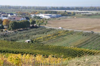 Blick von den Weinbergen im Anstieg des Markgräfler Hügellands bei Müllheim-Hügelheim nach Westen über die Oberrheinebene, die hier durch Ackerbau und Sonderkulturen geprägt ist Blick über nach links hochsteigende Rebanlagen auf Kultur- und Ackerflächen. Links erstreckt sich eine Siedlung. Im Hintergrund verläuft eine Bahnlinie.