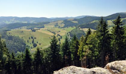 Blick vom Tannharzfelsen bei Utzenfeld nach Südwesten Weiter Blick über die Wipfel von Nadelbäumen auf teils bewaldete, teils bewirtschaftete Bergrücken. Die Berge steigen nach rechts hin an. Im Vordergrund rechts ragt ein Felssims ins Bild.