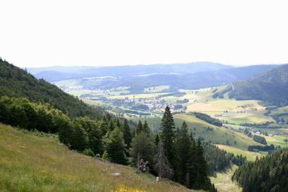 Blick in das Bernauer Hochtal nach Südosten Von einer steilen, nach rechts abfallenden Bergwiese mit angrenzendem Wald geht der Blick auf ein hügeliges, besiedeltes Hochtal. Im Hintergrund sind mehrere langgezogene Bergrücken zu erkennen.