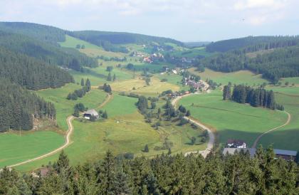 Das glazial geprägte Fischbachtal nordöstlich des Schluchsees Blick aus großer Höhe auf ein hochgelegenes breites Tal mit grünen und bräunlichen Wiesen, kurvigen Straßen und Wegen sowie Höfen. Links und rechts schließen bewaldete Bergrücken das Tal ein.