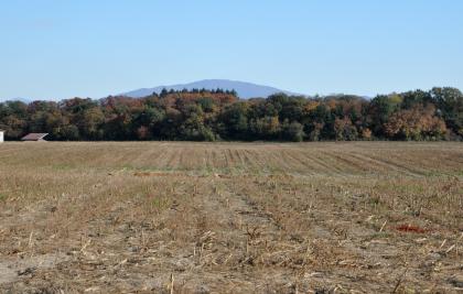 Wellige Ackerflächen in der ehemaligen Rheinaue südlich von Neuenburg (Pararendzina, Z106) Blick über abgeerntete, wellige Ackerflächen auf einen Waldgürtel. Dahinter erhebt sich ein bewaldeter Berg.