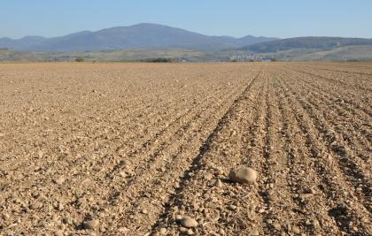 Kiesbedeckte Niederterrassenfläche südlich von Neuenburg am Rhein Das Bild zeigt rötlich braune, flache und sehr steinige Äcker, die bis zum Horizont reichen. Dahinter erheben sich rechts bewaldete Hügel und links Berge.