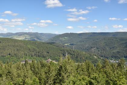 Blick vom Lehenkopfturm nach Nordwesten zum Feldberg und nach St. Blasien, rechts im Albtal gelegen Blick aus größer Höhe über Baumspitzen auf bewaldete Höhen und Berge, die sich bis zum Hintergrund ausbreiten. Im Vordergrund, zwischen den Bäumen, sowie rechts unten versteckt sich eine Siedlung.