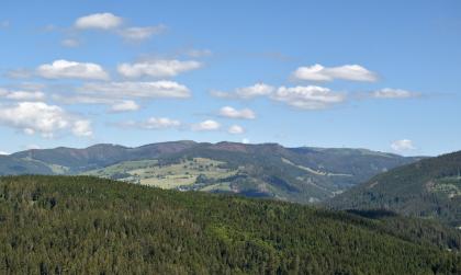 Blick aus großer Höhe über bewaldete Höhen sowie eine im Hintergrund sich ausbreitende Bergkette, die teils Waldflächen, teils auch Wiesen bietet.
