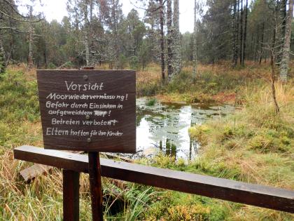 Im Horbacher Moor im Hotzenwald Blick auf ein dicht bewachsenes Moor mit Bäumen im Hintergrund sowie einem stehenden Gewässer im Mittelgrund. Vorne rechts steht eine Warntafel aus Holz.