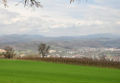 Blick vom Tüllinger Berg ins Wiesental bei Lörrach-Tumringen und -Haagen und zu den Weitenauer Bergen Blick über eine grüne Wiesen- oder Ackerfläche und angrenzenden Rebstöcken auf eine waldreiche, hügelige und bergige Landschaft mit Siedlungen in der vorgelagerten Ebene. Im Bildmittelpunkt liegt eine große Burgruine, die sich auf einem der Hügel erhebt.