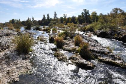 Die Isteiner Schwellen aus Oberjura-Kalkstein im Rheinbett westlich von Efringen-Kirchen In schnellem Tempo strömt hier ein Fluss zwischen teils steinigen, teils bewaldeten Ufern um felsige Inseln herum.