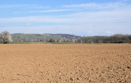 Blick über den Kander- und Feuerbach-Schwemmfächer nach Norden zum Schafberg bei Efringen-Kirchen Blick auf eine rötlich braune, ebene und leicht knollige Ackerfläche. Links im Hintergrund, nach einer Hochspannungsleitung, Wald und einer Ortschaft, erhebt sich ein Berg mit flacher Kuppe und Bewaldung an der rechten Seite.