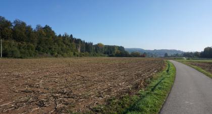 Vorderes Wiesental bei Steinen Das Foto zeigt flache, abgeerntete braune Ackerflächen, zwischen denen rechts ein geteerter Weg hindurchführt. Links grenzt Wald an die Äcker. Im Hintergrund erheben sich bewaldete Bergrücken.