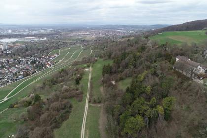 Blick über die Südwesthänge des Tüllinger Bergs in die Oberrheinebene bei Weil am Rhein  und Haltingen (hinten) Aus großer Höhe blickt man über einen teils bewaldeten, teils von Wiesen und Feldern bedeckten, nach rechts ansteigenden Hang. Links breiten sich bis zum Horizont in der Bildmitte ausgedehnte Siedlungsflächen aus.