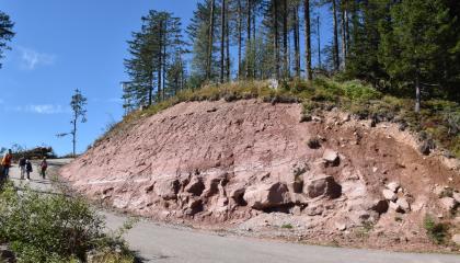 Aufschluss im Mittleren Buntsandstein beim Mummelsee, am Fuß der Hornisgrinde Blick auf einen rosa bis rotbraunen Gesteinsaufschluss, der hügelartig nach rechts ansteigt und am rechten Bildrand wieder abfällt. Auf der bewachsenen Hügelkuppe stehen Bäume, rechts auch dichter. Im Vordergrund führt ein geteerter Weg vorbei.