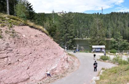 Aufschluss im Mittleren Buntsandstein beim Mummelsee, am Fuß der Hornisgrinde Blick auf einen graurosa Gesteinsaufschluss, der hügelartig nach links aufsteigt. Rechts liegt ein dunkelgrüner See, der am hinteren Ufer von Wald begrenzt wird. Im Vordergrund rechts laufen geteerte Wege am Aufschluss vorbei zum See.