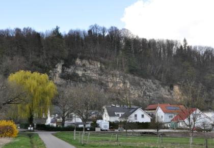 Aufgelassener Muschelkalk-Steinbruch am Dinkelberg-Südrand bei Rheinfelden-Nollingen Hinter Einfamilienhäusern erhebt sich ein rundum mit Bäumen bewachsener Felsenhang. Das offenliegende Gestein ist mit Gestrüpp durchsetzt.