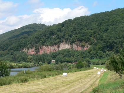 Felswände im Mittleren Buntsandstein im Neckartal südlich von Neckargerach Blick auf eine Reihe rötlich grauer Felsen, die von dichtem Wald eingerahmt werden. Der Wald selbst bildet einen Berg. Im Vordergrund links ist ein Fluss zu erkennen, rechts eine abgemähte Wiese. Links hinten erhebt sich ein zweiter bewaldeter Berg.