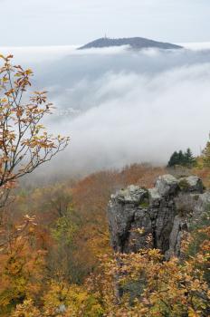 Blick vom Battert zum Fremersberg bei Baden-Baden Über herbstlich gefärbte Baumspitzen und graue, gezackte Felstürme blickt man über dichte Nebelschwaden auf einen aus dem Dunst aufragenden, wie eine Insel wirkenden bewaldeten Bergrücken.