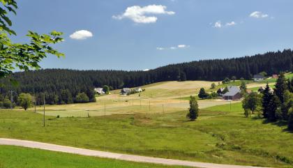 Vermoorte breite Talmulde bei Schönwald-Weißenbach Unter einem fast wolkenlosen Himmel und einem Nadelwaldstreifen zeigt sich eine hügelige Wiesen- und Weidenlandschaft. Verstreut stehen Häuser mit Walmdächern zwischen den Feldern. Im Vordergrund breitet sich eine bräunlich grüne Feuchtwiese aus.