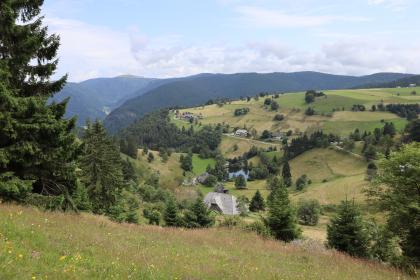 Grundgebirgs-Schwarzwald südlich des Schauinslands Hangabwärts gerichteter Blick auf eine Talmulde mit nach rechts aufsteigendem Gegenhang. Im Tal, unterhalb der Bildmitte, steht ein alter Schwarzwald-Hof. Im Hintergrund, hinter bewaldeten Bergrücken, erhebt sich links der kahle Gipfel des Feldbergs.