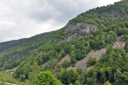 Junge Schutthalden am Scheibenfelsen im Zastlertal Das Bild zeigt einen nach links aufsteigenden, bewaldeten Felsenhang mit Schutthalden im rechten unteren Teil. Links unten sind winzig wirkende Häuser erkennbar; darüber erheben sich weitere Waldhänge.
