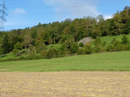 Steinriegel an südexponiertem Hang im Ettetal (Seitental der Jagst) Aus aufgehäuften Steinen errichtete Hügel liegen auf einem nach rechts ansteigenden grünen Hang. Oben ist der Hang von Bäumen bestanden, unterhalb der Steinhügel verteilt sich Buschwerk. Weiter abwärts folgt ein Grünland- sowie ein Ackerstreifen.