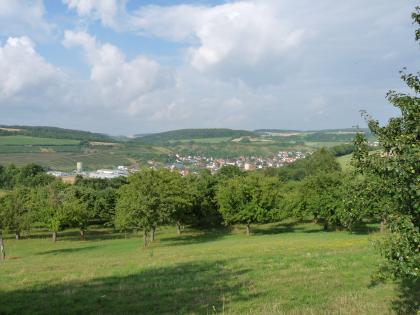 Blick von Südwesten auf Dörzbach im unteren Jagsttal Das Bild zeigt eine leicht nach links geneigte Grünlandfläche, die von Obstbäumen bestanden ist. Im Hintergrund öffnet sich eine hügelige Landschaft mit einer Stadt im Zentrum. Links sind auch Rebhänge erkennbar.