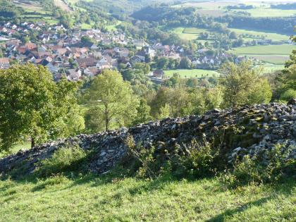 Steinriegel im Jagsttal bei Dörzbach-Hohebach Ein hoher, aus aufgeschichteten Steinen bestehender Hügel erstreckt sich von rechts nach links; dort abfallend. Moos und Gebüsch bewachsen den Hügel; dahinter stehen Bäume. Eine größere Ortschaft zieht sich im Hintergrund links einen Hang hinauf.