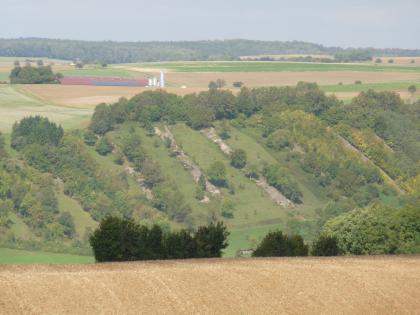 Südexponierte Hänge im Jagsttal mit alten Steinriegeln Auf einem dicht bewachsenen und begrünten Hang verteilen sich acht abwärts verlaufende Hügel aus aufgehäuften Steinen. Dahinter erstrecken sich weite Ackerflächen sowie ein flacher, bewaldeter Höhenzug.