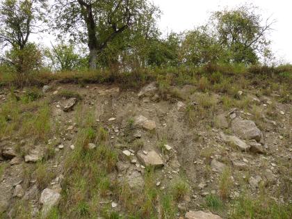Rutschmasse bei Ingelfingen-Belsenberg Das Bild zeigt einen steilen, teilweise mit Gras bewachsenen Hang, auf dem sich unterschiedlich große Steinbrocken verteilen. Die Farbe des Bodens wechselt von braun unterhalb der Kuppe zu graubraun weiter unten.