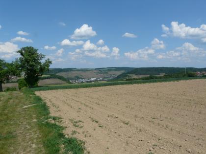Blick in das Kochertal bei Niedernhall Das Bild zeigt eine hellbraune, mit Sprößlingen bewachsene Ackerfläche, nach links hin abfallend und von Grün begrenzt. Den Hintergrund bilden mehrere weinbaulich genutzte aufsteigende Hänge; zum Teil auch bewaldet.