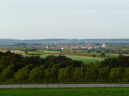 Blick über Neuenstein auf die Hohenloher Ebene Hinter einer Reihe von Rebstöcken zeigt sich erst Wald und anschließend eine weite, bewirtschaftete Ebene, die bis zum Horizont reicht. Dazwischen liegt in einer bewaldeten Senke eine größere Ortschaft.