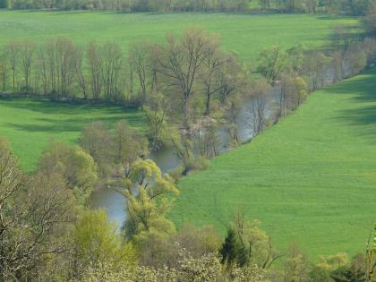 Talaue des Kochers bei Döttingen Das Bild zeigt einen quer von links nach rechts mäandrierenden Fluss, den zu beiden Seiten kleine und große Bäume begleiten. Rechts schließt sich eine grüne Wiese an, links wird eine ähnliche Wiese von einem schmalen Bach und dünnen Bäumen durchschnitten.