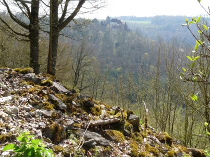 Kochertal bei Künzelsau-Kocherstetten Im Bild ist ein aufgetürmter Hügel aus Steinen zu sehen, der von links nach rechts abfällt. Teilweise ist der Hügel mit Moos bewachsen. Im Hintergrund erhebt sich eine bewaldete Anhöhe mit einem Schloss.