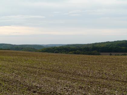 Blick in das Rötelbachtal von einer Anhöhe zwischen Raboldshausen und Billingsbach Hinter einem von links nach rechts gefurchten, leicht welligen und frisch bepflanzten Acker erstrecken sich mehrere, jeweils zu den Bildrändern ansteigende bewaldete Höhenzüge.