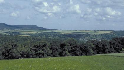 Haller Ebene bei Untermünkheim Hinter einer Grünlandfläche und einem angrenzenden Waldstreifen erhebt sich eine weite, oben flache grüne Ebene. Ein ansteigender Höhenzug im Hintergrund links und abfallende Hänge im Vordergrund rechts sind ebenfalls bewaldet.