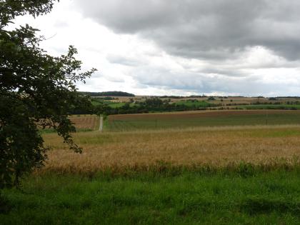 Hohenloher Ebene bei Kirchberg-Dörrmenz mit Blick Richtung Ilshofen Über einem von einer Wiese begrenzten, hellbraunen Getreidefeld geht der Blick hinweg auf eine wellenförmige Ebene. Hier wechseln sich weitere Äcker und Grünlandflächen ab; ergänzt von Bäumen und Fahrwegen.