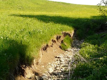 Trockenes Bachbett im Oberen Muschelkalk nördlich von Wolpertshausen Ein ausgetrocknetes Bachbett zieht sich, eine Kurve beschreibend, vom rechten Bildrand nach vorne. Über dem hellen Schotter des Baches erhebt sich rechts das braune, mit Gras bewachsene Ufer. Rechts zeigt sich Gebüsch, nach links und hinten Grünland.