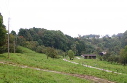 Rutschhang im Knollenmergel bei Wüstenrot-Großhöchberg (Lkr. Heilbronn) Das Bild zeigt einen nach links aufsteigenden Wiesenhang mit teilweise schräg stehenden Obstbäumen vorne sowie Wald dahinter. Ein matschiger Fahrweg führt den Hang hinauf. Im Hintergrund rechts schließt sich ein weiterer, bewaldeter Hang an.