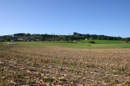 Der Büchelberger Grat von Nordosten Hinter einem abgeernteten Maisfeld im Vordergrund folgt eine leicht wellige Grünlandschaft sowie ein flacher, von links nach rechts führender, teilweise bewaldeter Grat.