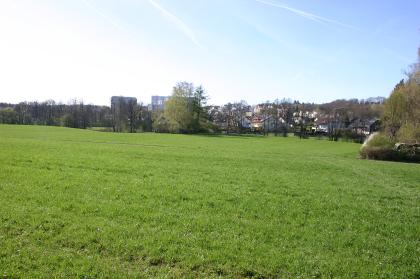 Im Tal des Sommerhofenbachs am nordöstlichen Stadtrand von Sindelfingen Blick auf eine leicht nach links ansteigende grüne Wiese. Im Hintergrund begrenzen Wohnhäuser und Bäume die Wiese.