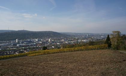 Das Neckartal bei Stuttgart-Obertürkheim Blick über ein hoch gelegenes Stoppelfeld und angrenzende Rebanlagen hinunter auf eine große, im Tal liegende Stadt. Auf der anderen Seite erheben sich bewaldete Bergrücken mit Sendetürmen.