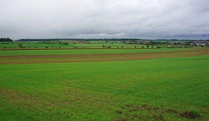Flachwelliges Hügelland im Unterjura bei Unterschneidheim  Das Bild zeigt flachwelliges Hügelland mit Wiesen und Äckern.