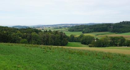 Östliches Albvorland zwischen Göppingen-Bartenbach und Hohenstaufen – An den Hängen sind Tonböden aus Verwitterungsmaterial der Opalinuston-Formation verbreitet (Pelosole und zweischichtige Pelosol-Braunerden) Blick über eine hochgelegene Wiese über hügeliges Wechselland. Von links und rechts schieben sich mehrere Waldzungen herein.