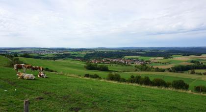Östliches Albvorland zwischen Göppingen und Schwäbisch Gmünd Blick über eine hochgelegene Viehweide, die nach rechts hin abfällt. Dahinter folgt eine wellige Landschaft mit weiteren Weiden, aber auch einzelnen Äckern, mehreren Siedlungen und Waldstreifen.