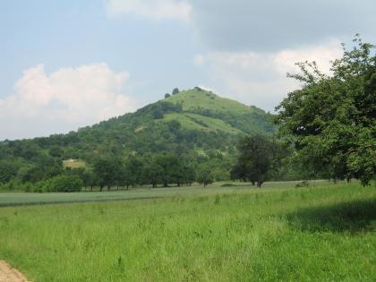 Die Vulkankuppe Limburg bei Weilheim an der Teck von Süden Hinter einer Wiese erhebt sich eine teilweise bewaldete Vulkankuppe. Rechts vorne ragen die belaubten Äste eines Baumes ins Bild.
