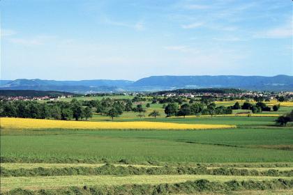 Mittleres Albvorland bei Walddorfhäslach Blick in eine Landschaft. Im Vordergrund befinden sich vor vereinzelten Bäumen und Siedlungen begrünte Ackerflächen und ein gelbes Rapsfeld. Im Hintergrund erheben sich in der Ferne Bergrücken in den blauen Himmel.