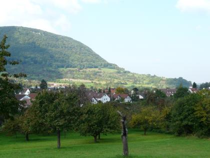 Traufhänge der Mittleren Alb nordwestlich von Unterlenningen Über einer Obstbaumwiese sowie dahinter liegender Ortschaft erhebt sich im Hintergrund ein zunächst flacher, nach links hin jedoch bald steil ansteigender, bewaldeter Hang.