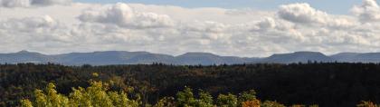 Blick nach Südosten auf die Traufhänge der Mittleren Alb bei Mössingen Panoramabild eines dunklen, durchgehenden Waldes, hinter dessen Spitzen sich in der Ferne unregelmäßig geformte, bewaldete Höhenzüge aneinandereihen.
