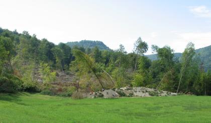 Rutschmassen am Fuß der Alb bei Mössingen-Talheim Das Bild zeigt die Zerstörungen eines Hangrutsches. Rechts im Vordergrund ist der aufgetürmte Schuttberg, links, auf dem Hang verteilt, liegen abgeknickte und umgestürzte Bäume.