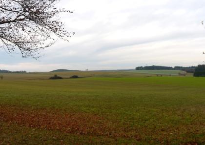 Flachwellige Hochfläche der Hegaualb bei Buchheim (Lkr. Tuttlingen) Das Bild zeigt leicht gewellte Grünland- und Ackerflächen, die bis zum Horizont reichen. Im Mittelgrund sind schmale Mulden mit einzelnen Bäumen erkennbar.
