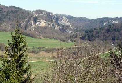 Blick vom Bergsteig bei Fridingen an der Donau nach Ostnordosten übers Härtle zum Laibfelsen und Stiegelesfels Über Baumwipfel blickt man auf eine nach links ansteigende Grünlandfläche, die in der Mitte von einem Streifen aus Geröll und Hecken unterbrochen wird. Im Hintergrund, zwischen bewaldeten Hängen, erheben sich mächtige, gelblich graue Felszacken.
